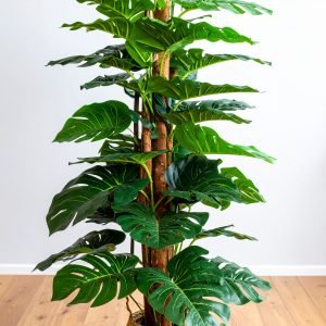 4 Ft Jumbo Real Touch Split Philo Leaves Plant H-120CM