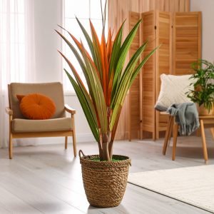32" 1 X 1 Real Touch Dracaena Plant (Green + Orange) H-80CM