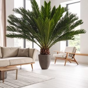 125 CM GREEN SAGO CYCUS PALM TREE WITH 40 LEAVES.