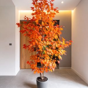 6 FT ORANGE JAPANESE MAPLE TREE WITH 215 REAL TOUCH LEAVES.