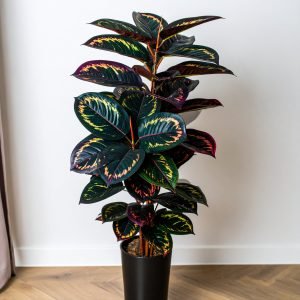 40" 2 x 1 Peacock Leaves Plant With 40 Leaves H-100CM