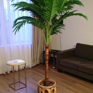 6 Ft Coconut Tree With Real Touch Leaves